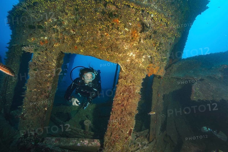 Diver looking out of window of bridge of Canadian ship Mohawk Deer sunk off Portofino
