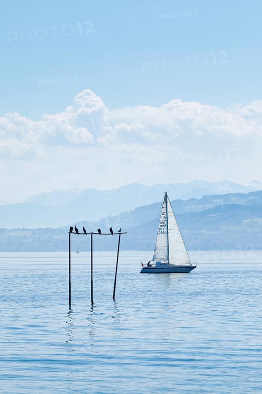 View from Arbon over blue shimmering Lake Constance with sailing boat in sunny weather and blue sky in summer