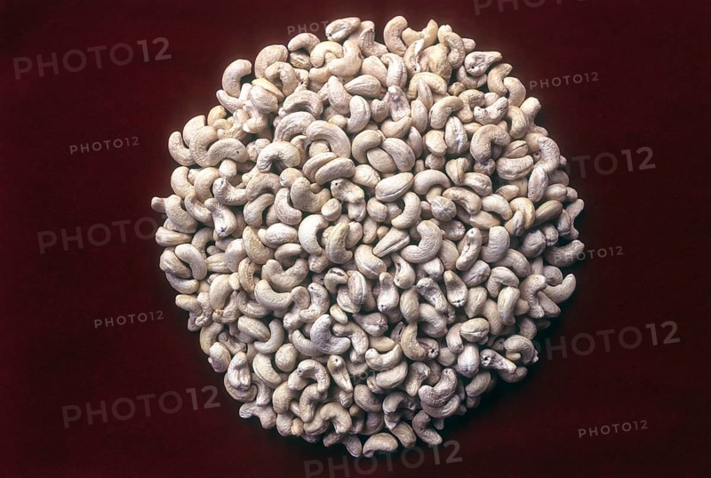 Unroasted Cashew Nuts