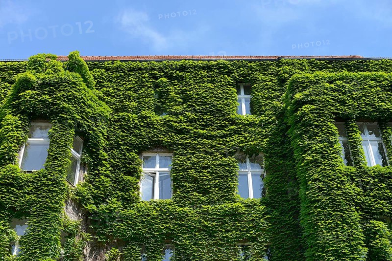 Facade greening