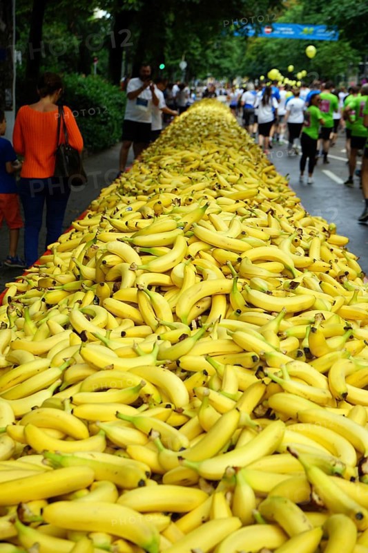 Frankfurt Corporate Run