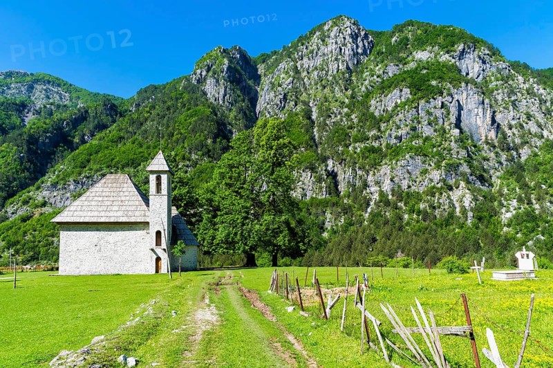 Catholic Church