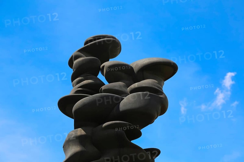 Large bronze sculpture by the artist Tony Cragg in the sculpture garden near the Venet House