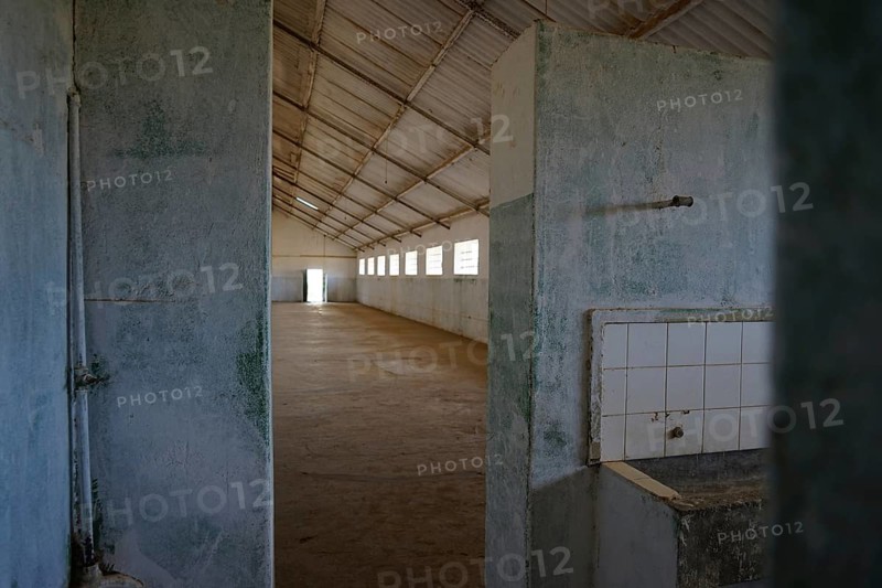 Communal cell