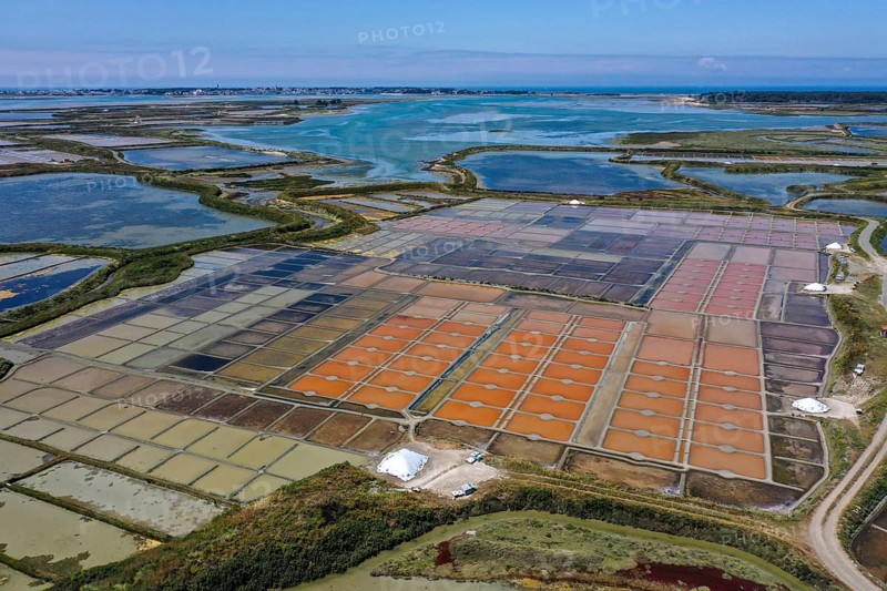Aerial view of the salt marshes