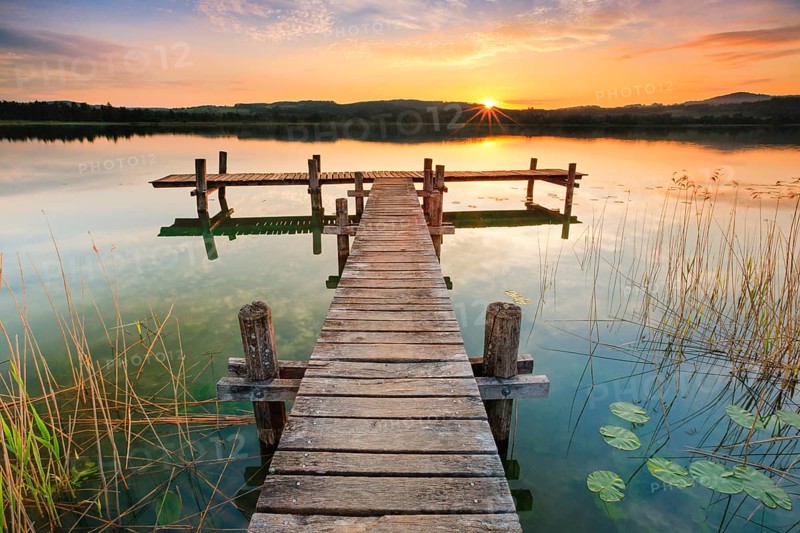Wooden footbridge on Lake Pfaeffikon at sunrise