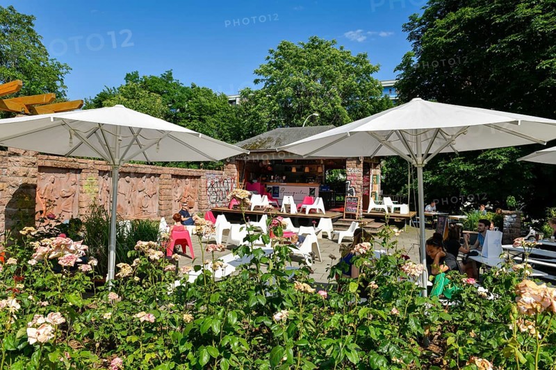 Rose garden Kulturpavillon
