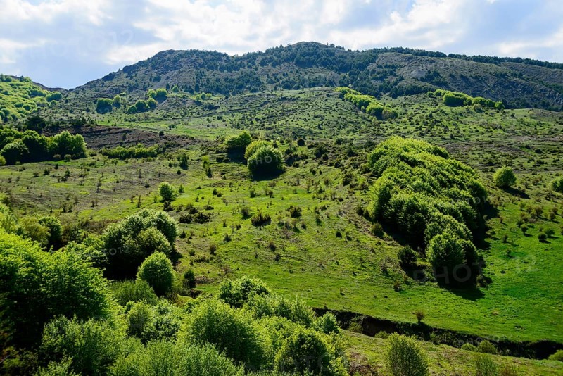 Mountainous landscape
