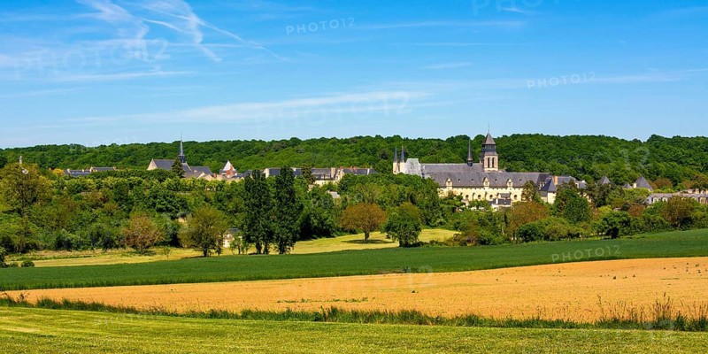 The Royal Abbey of Fontevraud Abbey