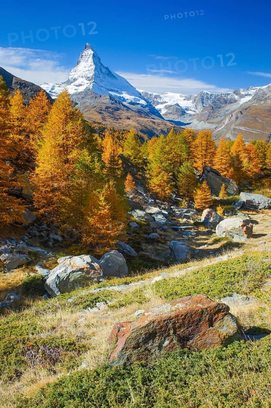 Matterhorn and larch