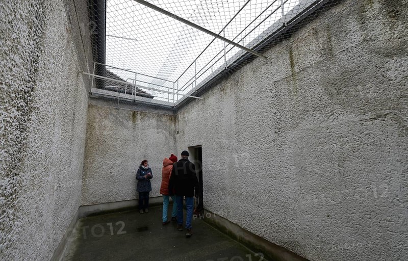 Tiger Cage