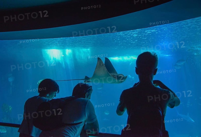 Oceanario de Lisboa