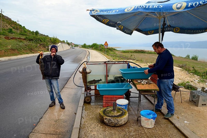 Sale of fish
