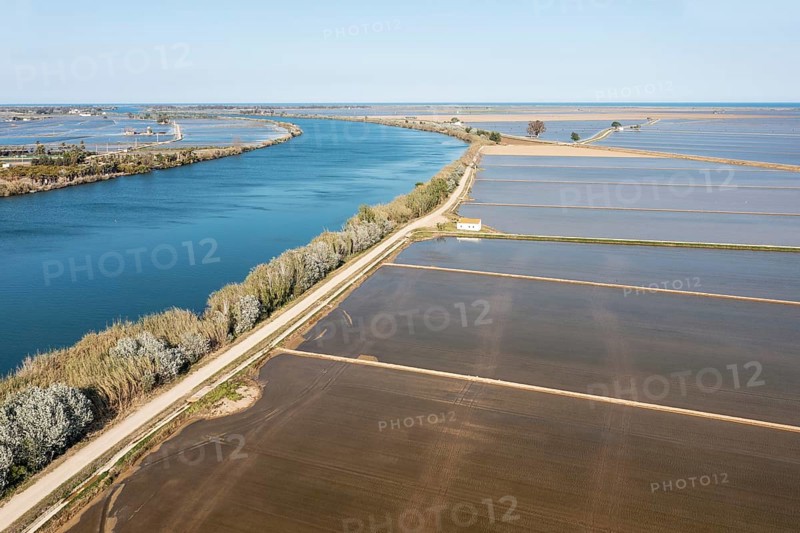 Ebro river and flooded rice fields in May