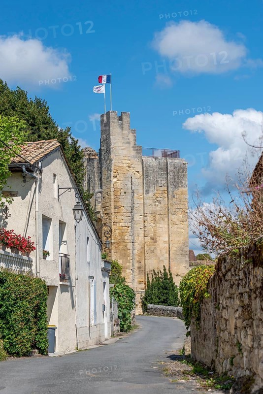 Fortified Tower