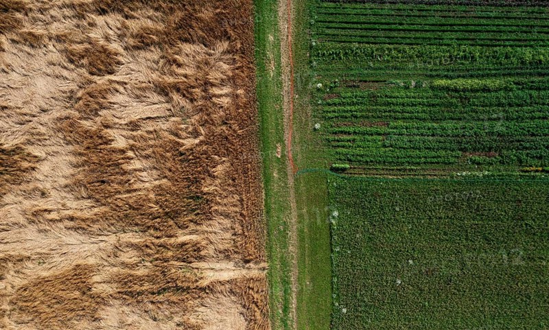 Drone image
