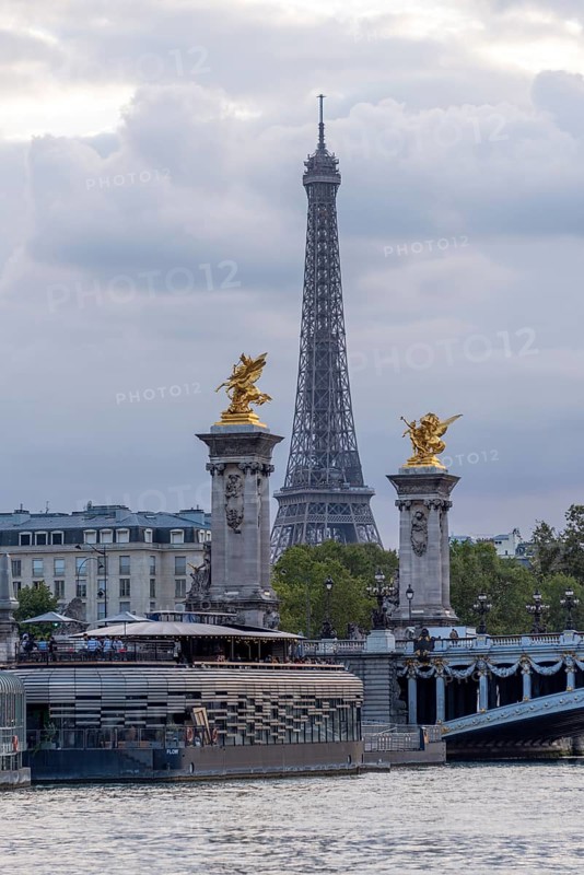 Pont Alexandre III Bridge over the Seine
