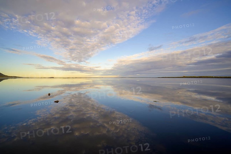 Water reflection