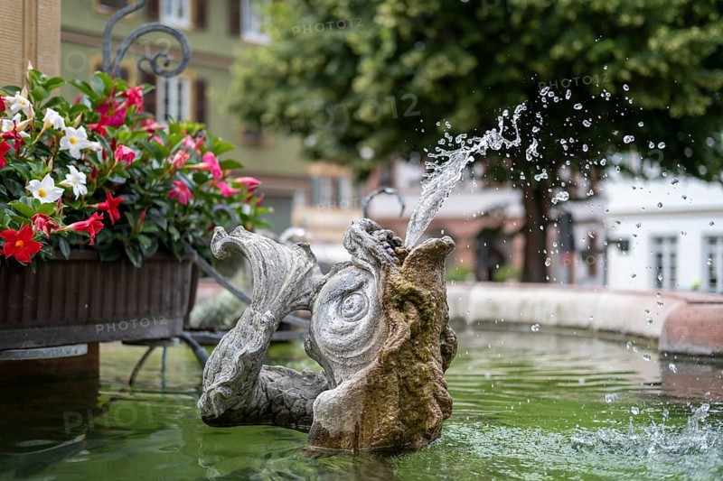 Gargoyle on the fountain in the market square of Ladenburg