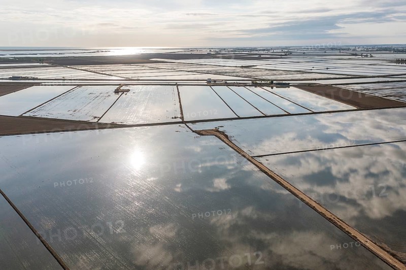 Flooded rice fields in May