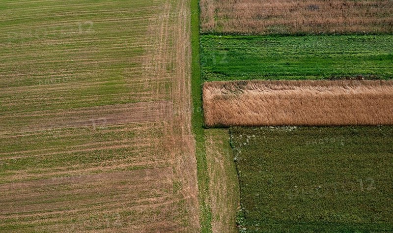 Drone shot