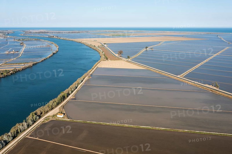 Ebro river and flooded rice fields in May