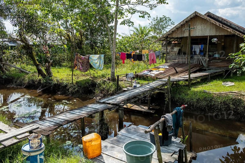 Wooden hut in a jungle village on the Sekonyer River