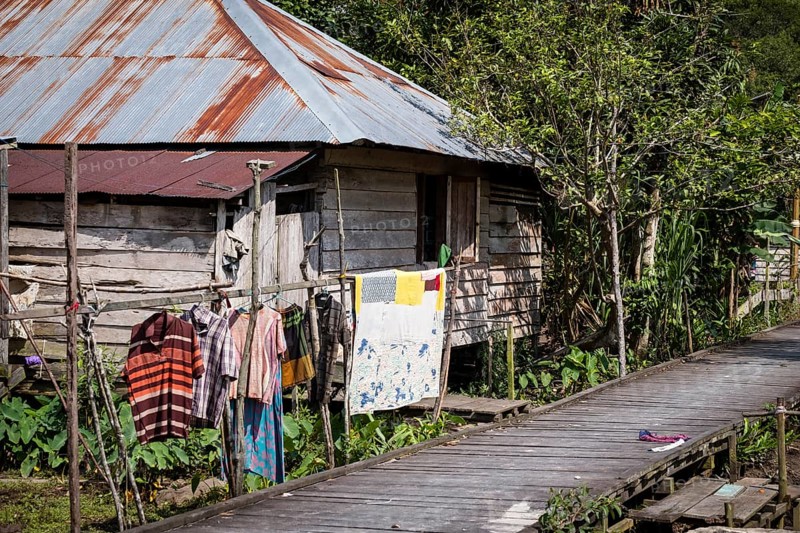 Jungle village with wooden hut on the Sekonyer River