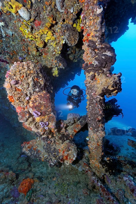 Diver looking at propeller and rudder from the wreck of the Virgen de Altagracia