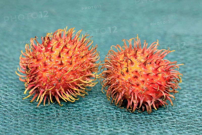 Rambutan (Nephelium lappaceum)