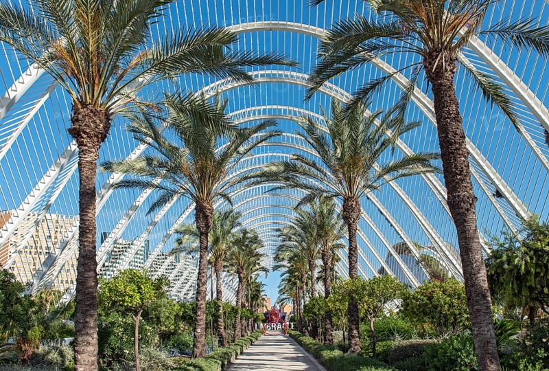 The Umbracle