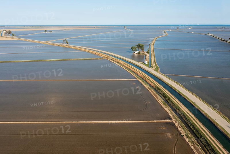 Flooded rice fields in May