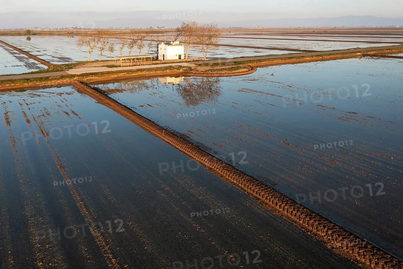 Small farm cottage amidst flooded rice fields in May
