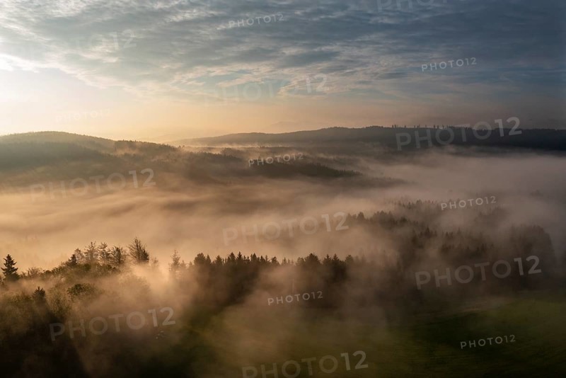 Drone shot