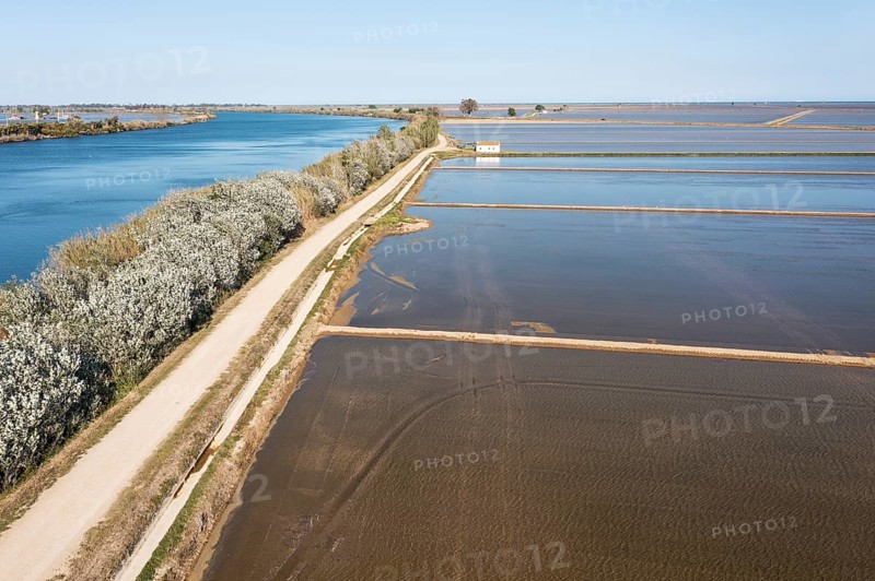 Ebro river and flooded rice fields in May