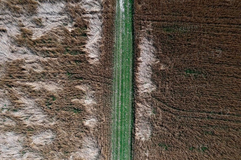 Drone image