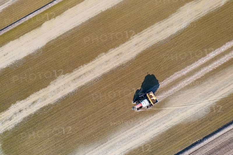 Tractor sowing rice seeds in a flooded rice field in May