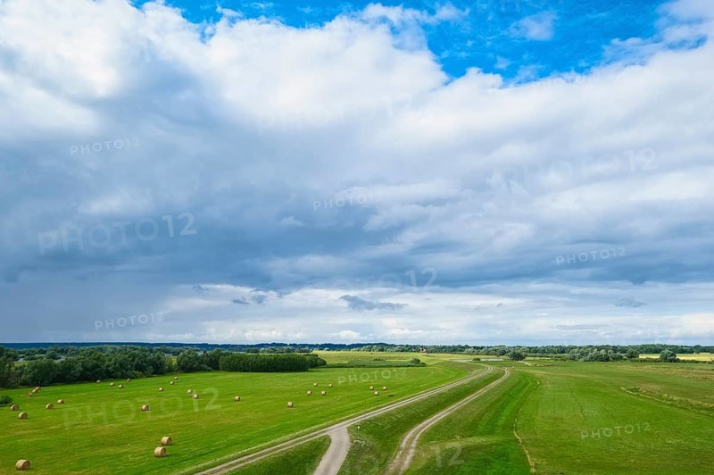 Elbe dyke near Gothmann