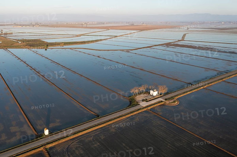 Small farm cottage amidst flooded rice fields in May