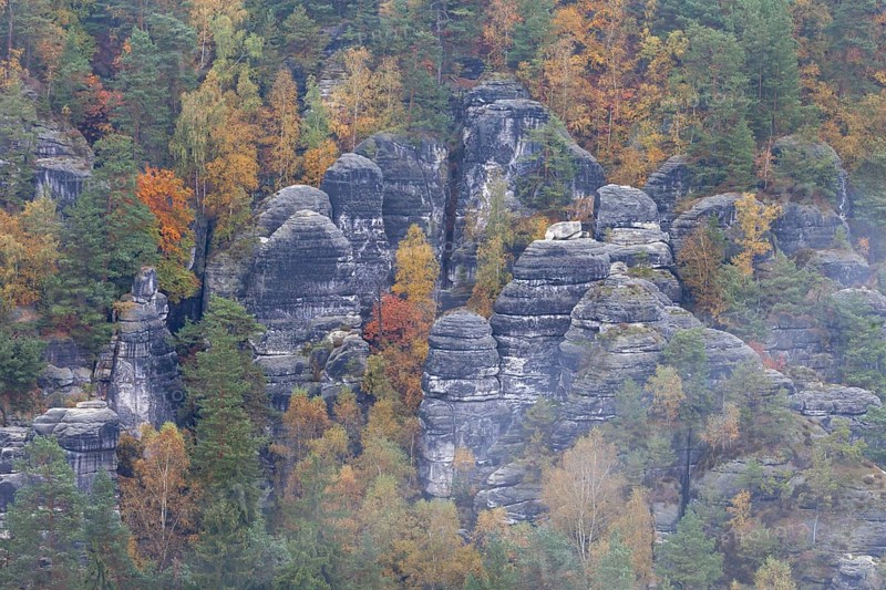 Sandstone rocks in the Bastei area