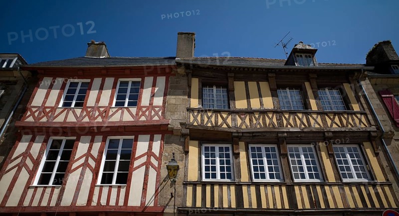 Half-timbered houses