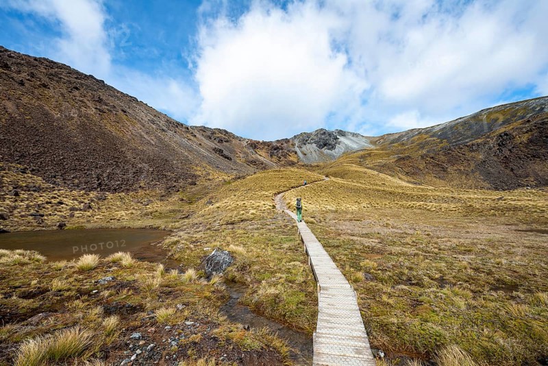 Hikers on trail