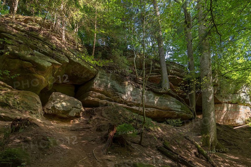 Spruce trees on the rocks in the Schwarzachklamm