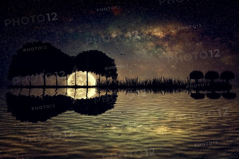 Trees arranged in a shape of a guitar on a starry sky background in a full moon night. Music island with a guitar reflection in water