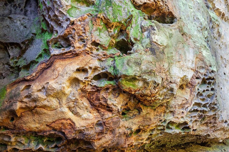 Sandstone rocks in the Polenz Valley