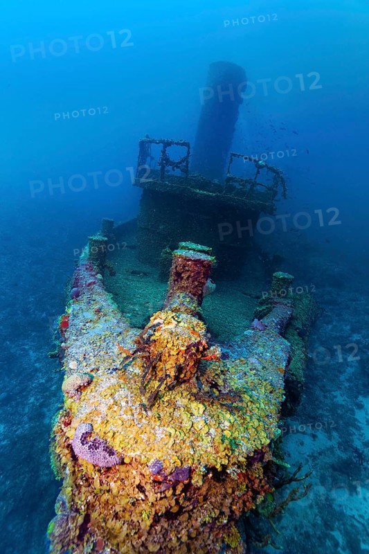 Bow in front