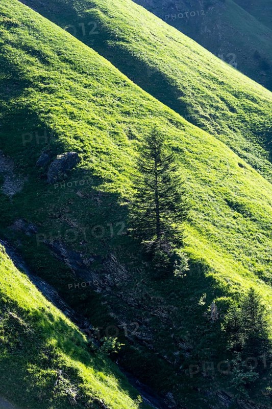 Mountain flank overgrown with grass