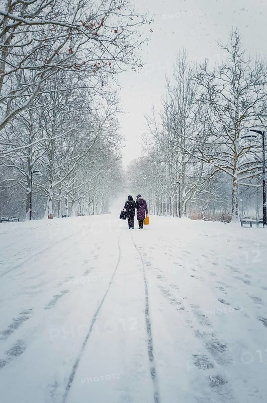 Two middle age women carrying pouches walks through the snowfall alongside the alley in the winter park. Wonderful snowing scene on the street. Cold season beauty. Blizzard in the Rose Valley city square