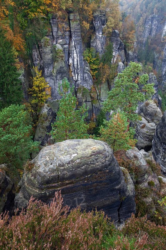 Sandstone rocks in the Bastei area