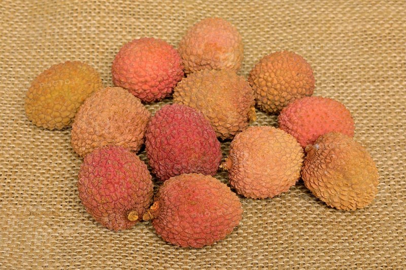 Lychee (Litchi chinensis)